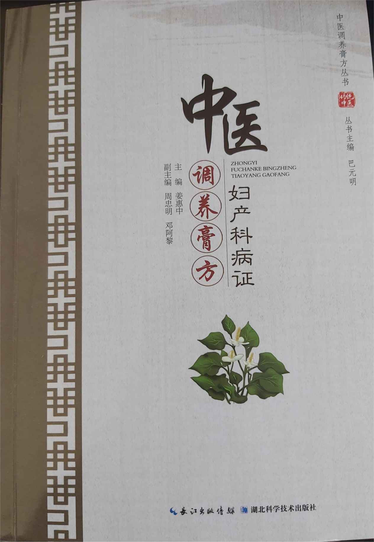 《中医妇产科病证调养膏方》